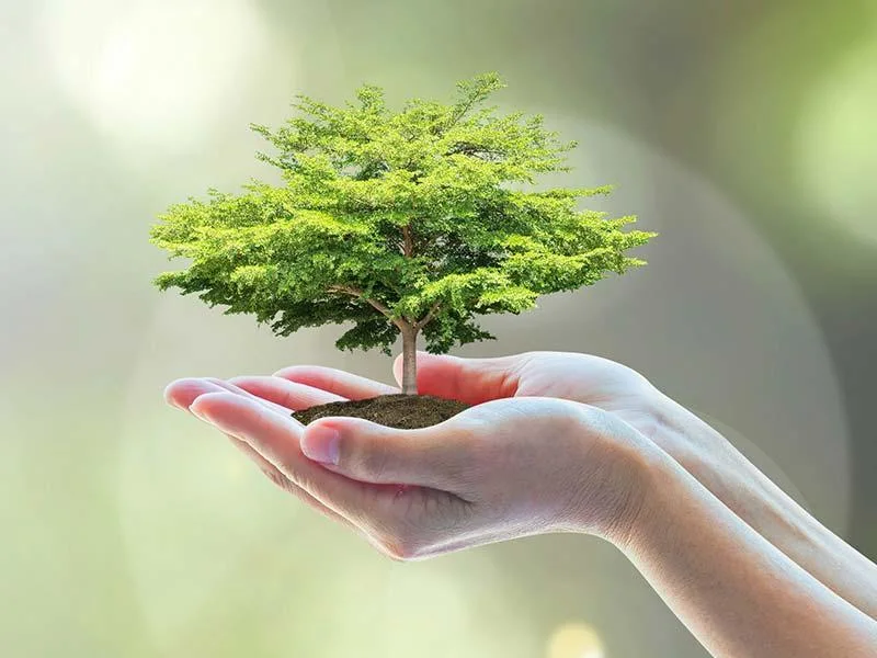 Epoksi reçine kurucu fırın Makine ısı işleme transformatör fırını 8